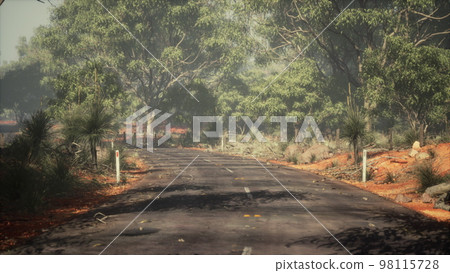 Jungle road in Baluran Park in Indonesia 98115728