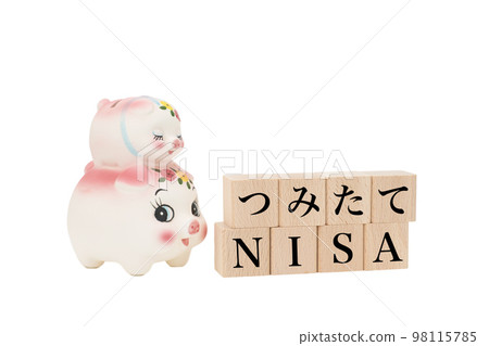 NISA image Parent and child pigs looking at building blocks (piggy bank) 98115785
