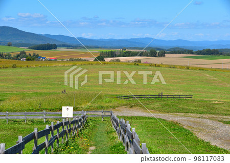 Hill Town 美瑛町 98117083