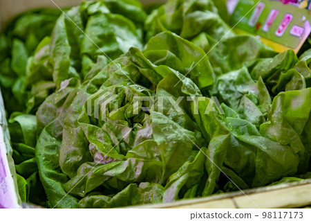 Lettuces. Fruit and vegetable stall. Stall with lettuce in a market in Madrid, Spain. Green lettuce leaves with water drops. Horizontal photography. Lettuces. Fruit and vegetable stall. Stall with lettuce in a market in Madrid, Spain. Green lettuce leaves with water drops. Horizontal photography. 98117173