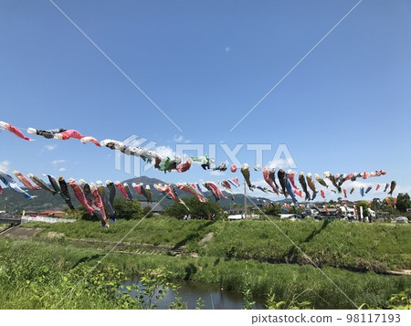 Many carp streamers and the sky 98117193