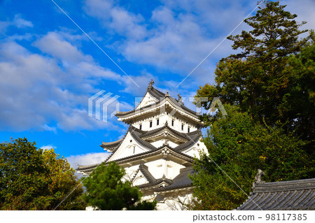 Ogaki castle 98117385