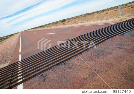 Animal intrusion prevention fence called Texas Gate 98117440