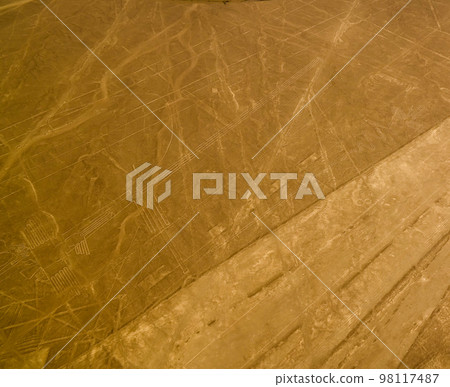 Aerial airplane panoramic view to Nazca geoglyph lines aka frigate bird and heron or flamingo , Ica, Peru 98117487