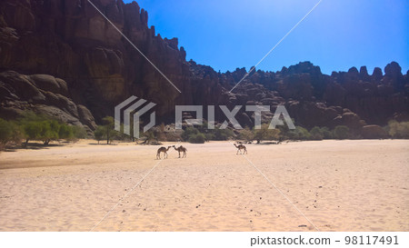 Panorama inside canyon aka Guelta d'Archei in East Ennedi, Chad 98117491