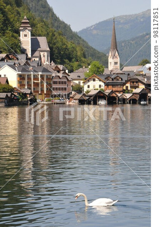 奧地利, 薩爾茨卡默古特, 哈爾施塔特, 哈爾施塔特湖, 天鵝, 船庫 98117851