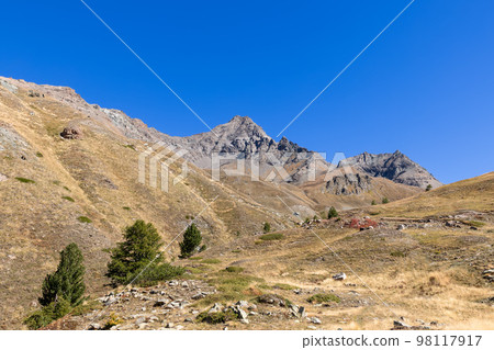 Panoramic shot of spacious granite alpine slopes covered with yellow autumn grass 98117917