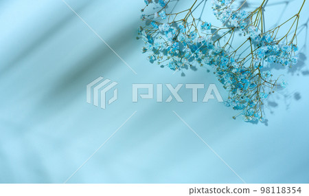 Gypsophilia branch with blue flowers on a blue background, top view 98118354