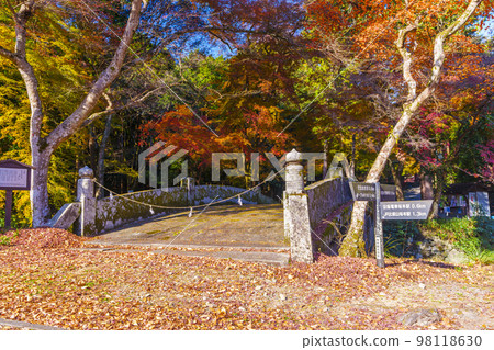 Hiyoshi Taisha Shrine in autumn, Ninomiya Bridge (Sakamoto, Otsu City, Shiga Prefecture) Hiyoshi Taisha Shrine in autumn, Ninomiya Bridge (Sakamoto, Otsu City, Shiga Prefecture) 98118630