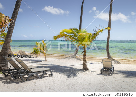 Bavaro Tropical beach in Punta Cana, Caribbean sea, Dominican Republic Bavaro Tropical beach in Punta Cana, Caribbean sea, Dominican Republic 98119510