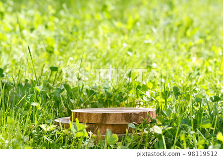 Round cut of a tree, a pedestal for an object, a podium for cosmetics. Summer sunshine, against the background of lush green grass. Round cut of a tree, a pedestal for an object, a podium for cosmetics. Summer sunshine, against the background of lush green grass. 98119512