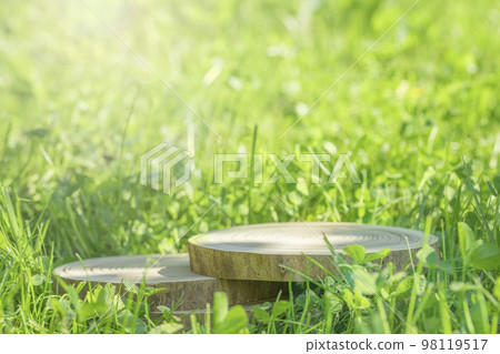 Round wooden felled tree of cylindrical shape on the background of green grass Minimalistic and geometric podium. High quality photo Round wooden felled tree of cylindrical shape on the background of green grass Minimalistic and geometric podium. High quality photo 98119517