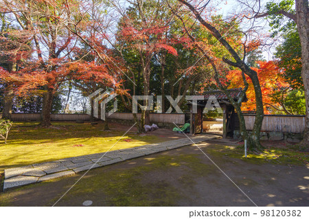 Jigen-do, beautiful precincts, autumn foliage season (Sakamoto, Otsu City, Shiga Prefecture) Jigen-do, beautiful precincts, autumn foliage season (Sakamoto, Otsu City, Shiga Prefecture) 98120382