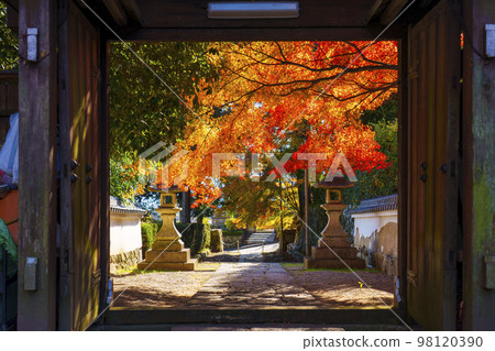 次元堂三門紅葉季（滋賀縣大津市坂本） 98120390