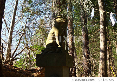 Busan Shrine, a power spot in Fufu, Yorii Town, Saitama Prefecture 98120789
