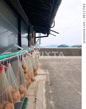 Onions harvested on Ozaki Island (Mihara City, Hiroshima Prefecture) Onions harvested on Ozaki Island (Mihara City, Hiroshima Prefecture) 98121564