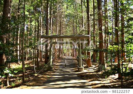 Busan Shrine, a power spot in Fufu, Yorii Town, Saitama Prefecture 98122257