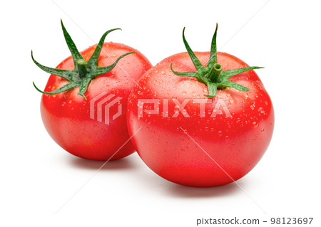 Tomato in white back 98123697