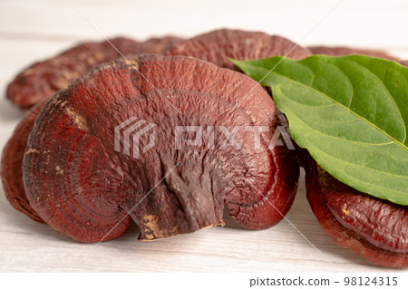 Dried lingzhi mushroom with capsule drug, alternative medicine herbal organic herb. 98124315