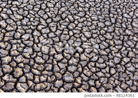 Global warming desertification, Pampas, Argentina Global warming desertification, Pampas, Argentina 98124361