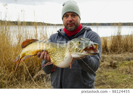 fisherman holding big pike fish. Northern Pike with beautiful natural camouflage fisherman holding big pike fish. Northern Pike with beautiful natural camouflage 98124455