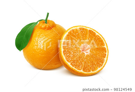 dekopon dekopon illustration real dekopon dekopon illustration real 98124549