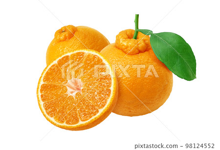 Dekopon插圖真實 98124552