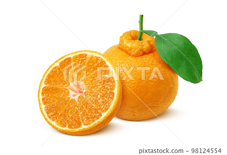 dekopon dekopon illustration real 98124554