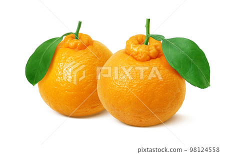 Dekopon illustration real 98124558