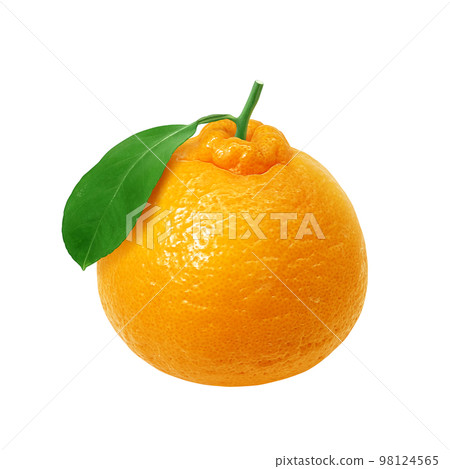 dekopon dekopon illustration real dekopon dekopon illustration real 98124565