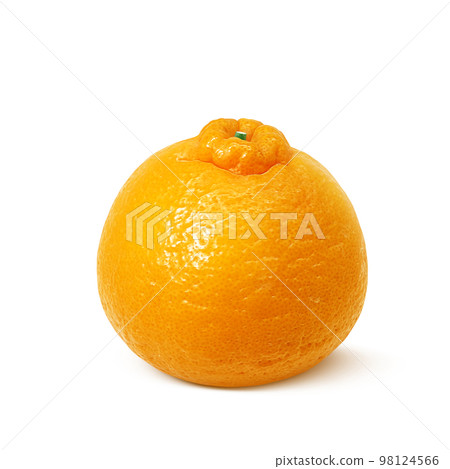 dekopon dekopon illustration real dekopon dekopon illustration real 98124566