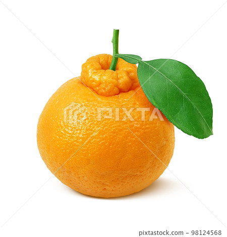 dekopon dekopon illustration real dekopon dekopon illustration real 98124568