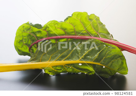 Swiss Chard Swiss Chard 98124581