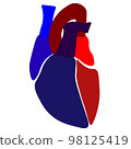 Human Heart Diagram 98125419