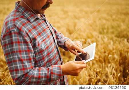 Farmer checking wheat field progress, holding tablet using internet. Smart farming and digital agriculture. 98126268