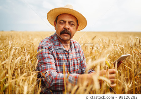 Farmer in the hat checking wheat field progress, holding tablet using internet. Digital agriculture. 98126282