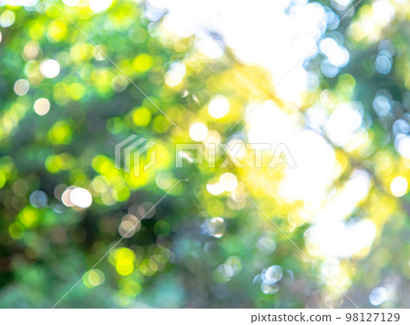 Polka dot reflection green system Polka dot reflection green system 98127129