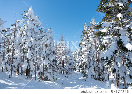Walking path in the courtyard of Kita Yatsugatake in winter 98127266