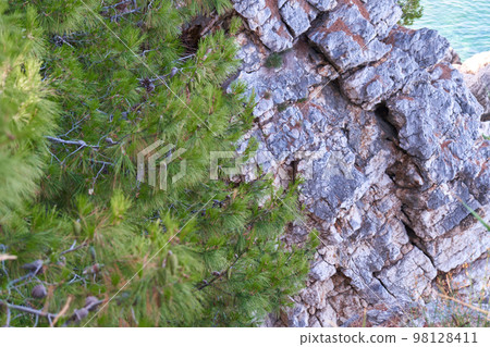 Top view of beautiful blue sea surface and fantastic rocky coast, Montenegro 98128411