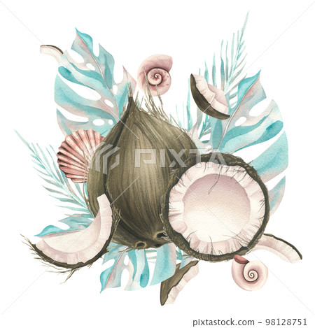 Whole coconuts and slices with tropical palm leaves and seashells. Watercolor illustration. Composition on a white background from the collection of COCONUTS. For the dcoration and design. 98128751