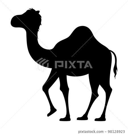 Dromedary illustration _ silhouette 98128923