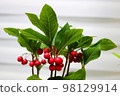 Financial support 98129914