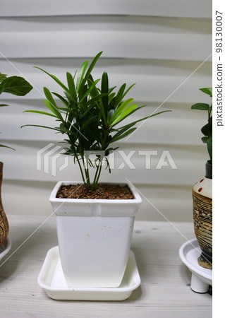 Arhan Song Arhan Song 98130007