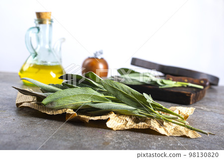 Salvia officinalis. Clary Sage natural green leaves macro background plant photography. 98130820