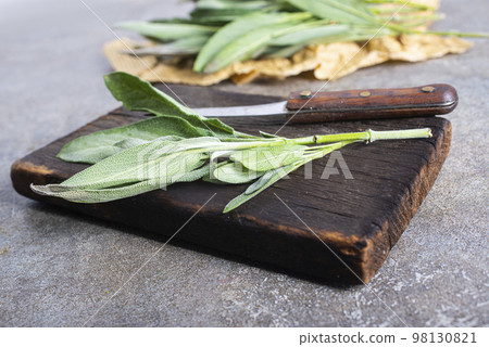 Salvia officinalis. Clary Sage natural green leaves macro background plant photography. 98130821