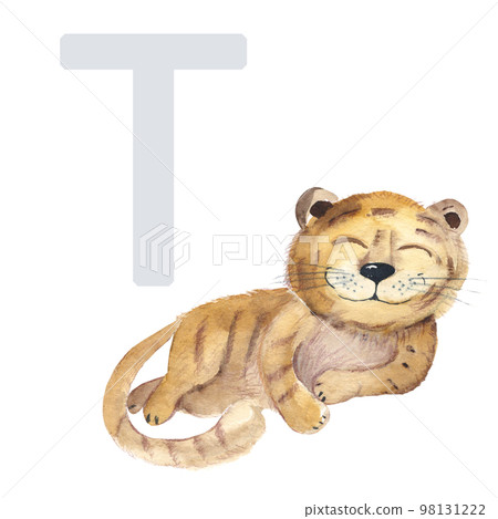 Letter T, tiger, cute kids animal ABC alphabet. Watercolor illustration isolated on white background. Can be used for alphabet or cards for kids learning English vocabulary and handwriting. Letter T, tiger, cute kids animal ABC alphabet. Watercolor illustration isolated on white background. Can be used for alphabet or cards for kids learning English vocabulary and handwriting. 98131222