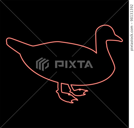 Neon duck Male mallard Bird Waterbird Waterfowl Poultry Fowl Canard red color vector illustration image flat style 98131392