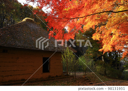 Kitakami City, Iwate Michinoku Folk Village with Autumn Leaves 98131931