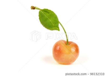 Light red sweet cherry with green leaves., side view isolated on white. Extrem close-up. Light red sweet cherry with green leaves., side view isolated on white. Extrem close-up. 98132310