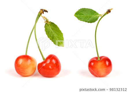 Light red sweet cherry with green leaves., side view isolated on white. Extrem close-up. Light red sweet cherry with green leaves., side view isolated on white. Extrem close-up. 98132312